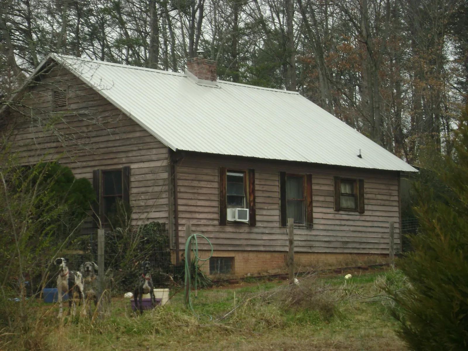 White metal roof on an old wood sided farmhouse, from a Metal Roof Installation job in Sanderson